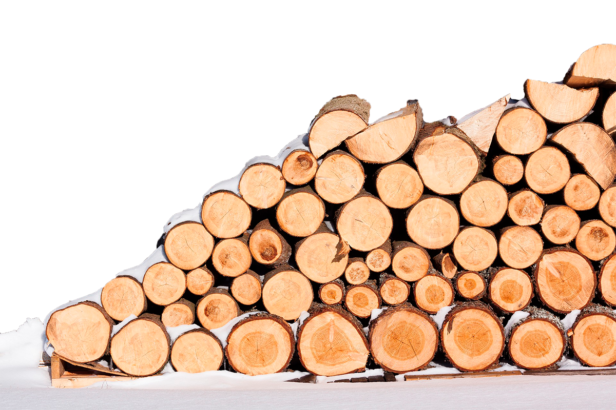 España apenas utiliza el 35% de la biomasa que generan los bosques cada año